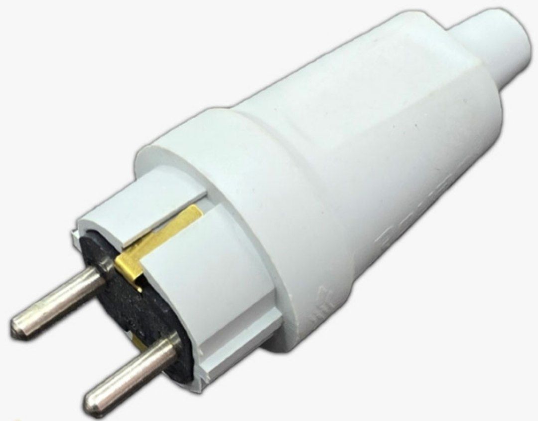 دوشاخه رویان