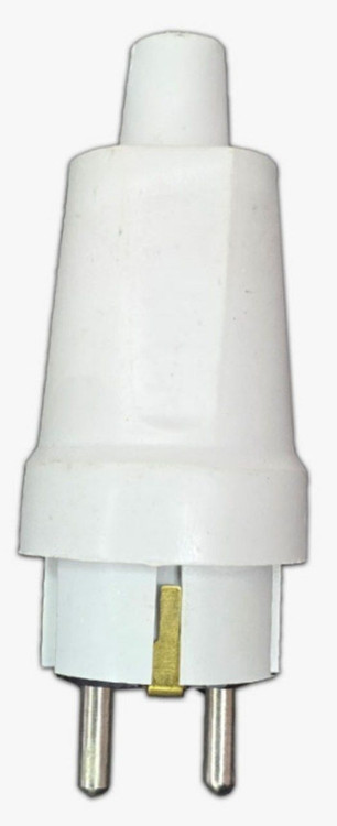 دوشاخه رویان