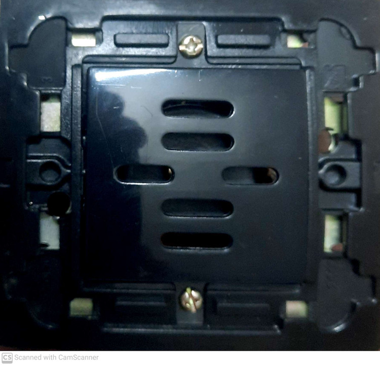 زنگ رویان مشکی