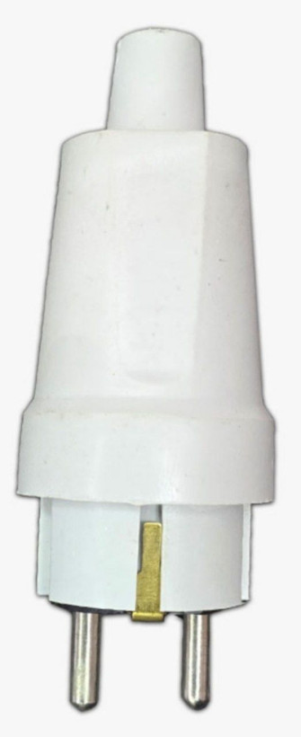 دوشاخه رویان
